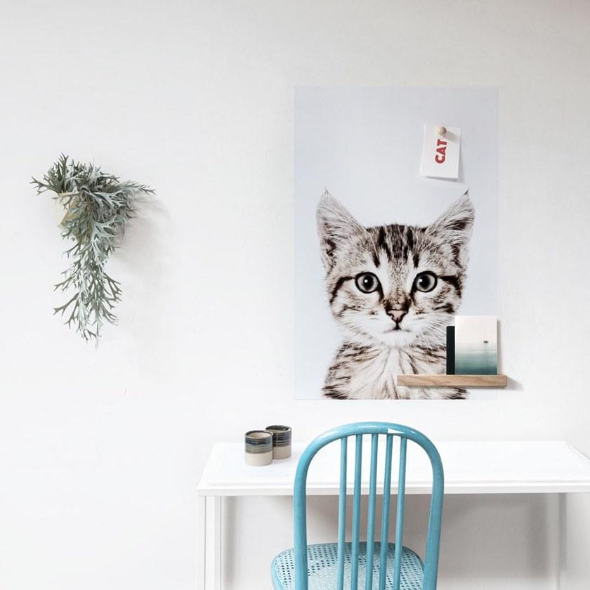 Groovy Magnets Магнитный плакат Animal Pos-62-c - Вид №4