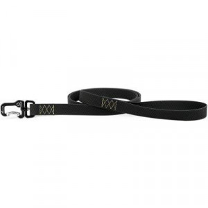 ПР0047072 Поводок для собак EVOLUTOR 42131 черный 25ммх3м COLLAR