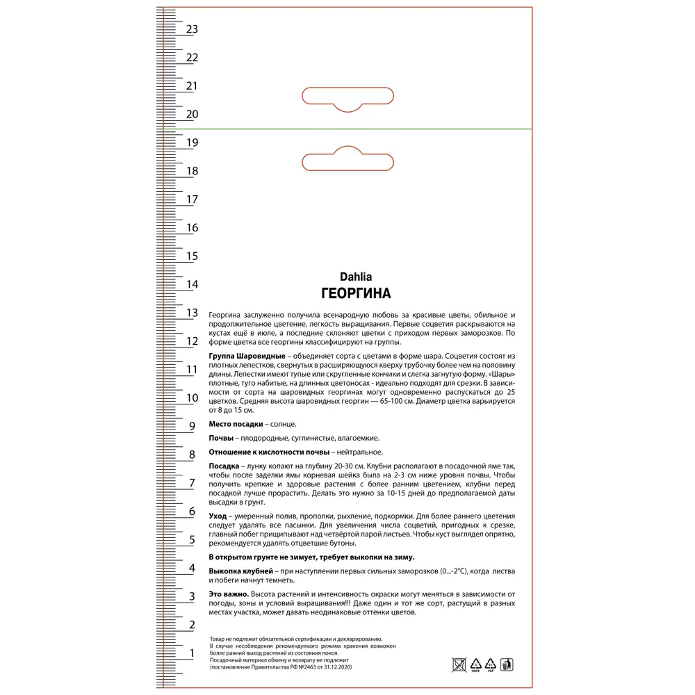 Георгина шаровидная Каро 89452212 STLM-2033550 ПОИСК  - Вид №1