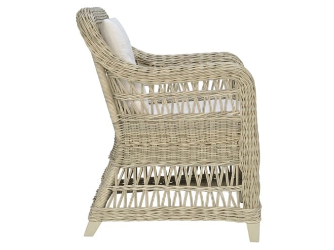 Стул JanusFiber® с подлокотниками JANUS et Cie Arbor ARCH-00133164 - Вид №2