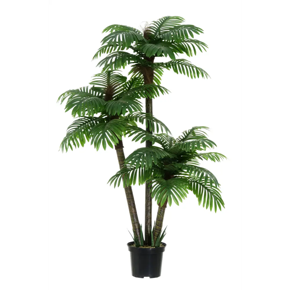89356256 Искусственное растение пальма финиковая Масаи h150 см STLM-0952957 Santreyd  - Вид №1