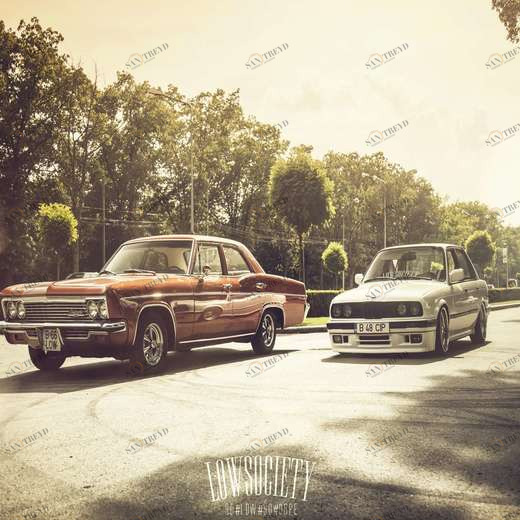 WP00743 Фотообои Verol Фотообои decoline 1х1 м