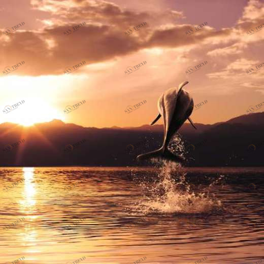 WP02060 Фотообои Verol Фотообои decoline 1х1 м