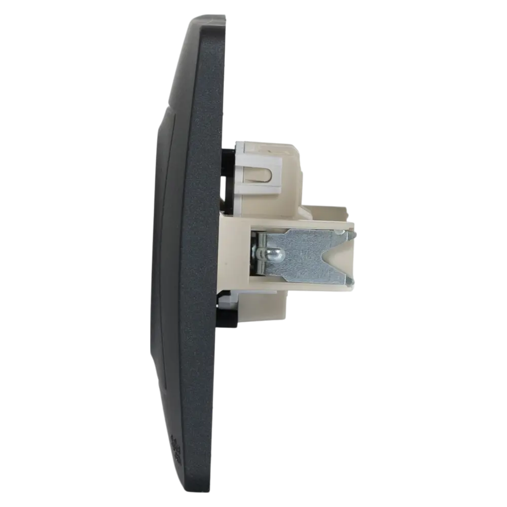 Розетка встраиваемая Systeme Electric Blanca без заземления цвет антрацит 82454980 STLM-2085061 - Вид №2