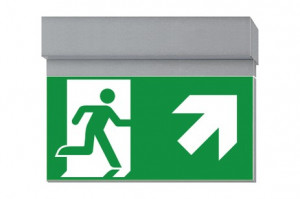 DST-3978 Ikus 2211-t Daisalux Светильники и спец. Серебристо-Серый