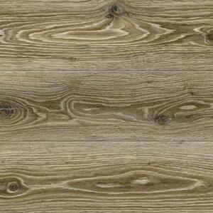 Ламинат Maestro Club Дуб Трюфель CA01