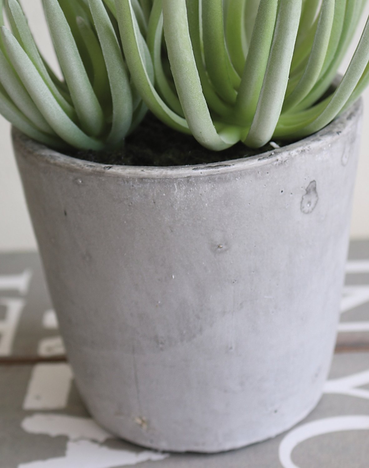 6049 883 a3 Искусственный суккулент, горшок, 19 см, зеленый H-andreas  - Вид №1