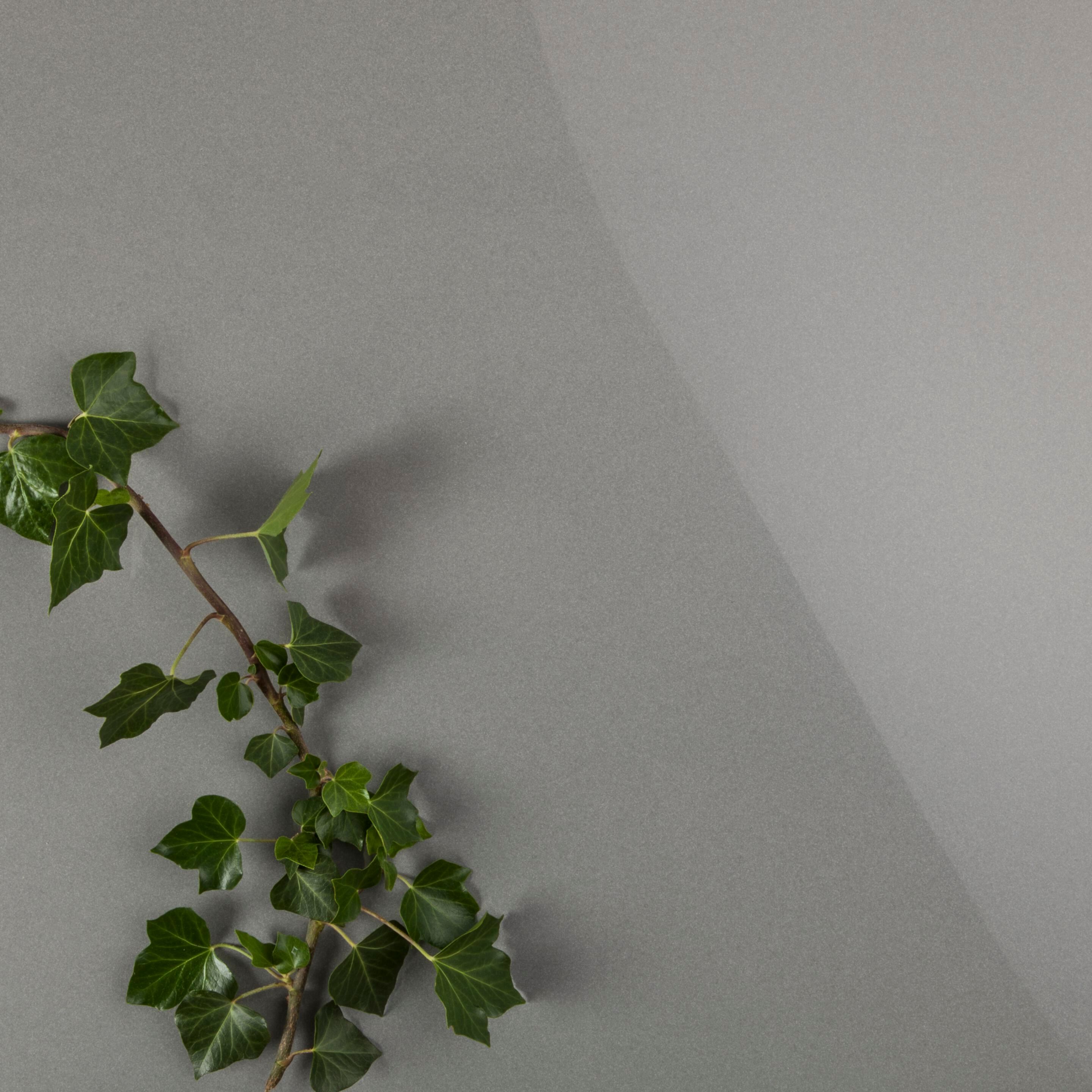 Напольное покрытие Lapitec® Musa ARCH-00048845 - Вид №6