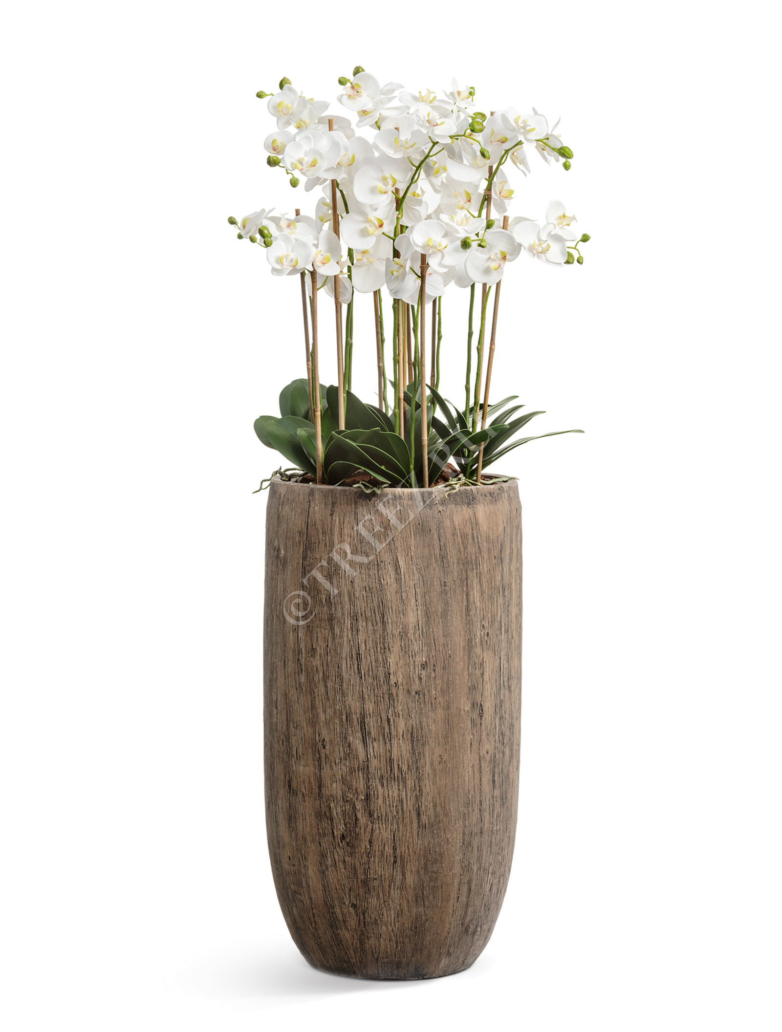 41.3317-03-011-WB-65 Кашпо  Effectory - серия Wood - Высокий округлый конус - Светлый дуб Цветочная коллекция  - Вид №5