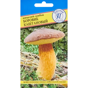 86236829 Мицелий грибов боровик Каштановый STLM-1544358