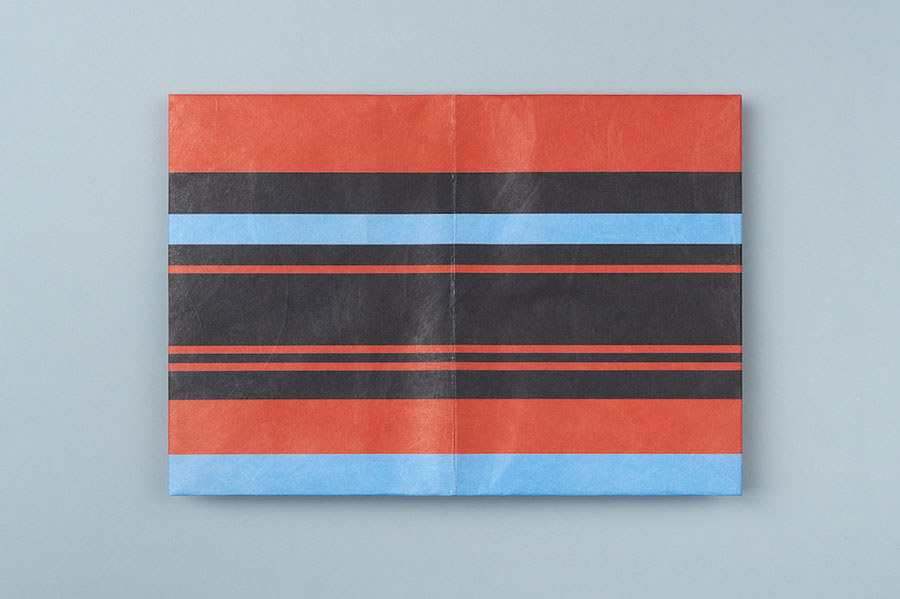 NС-031 Обложка на паспорт new tabby, в полоску New wallet  - Вид №2