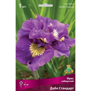 83597276 Ирис сибирский Дабл Стандарт луковица I STLM-1412655