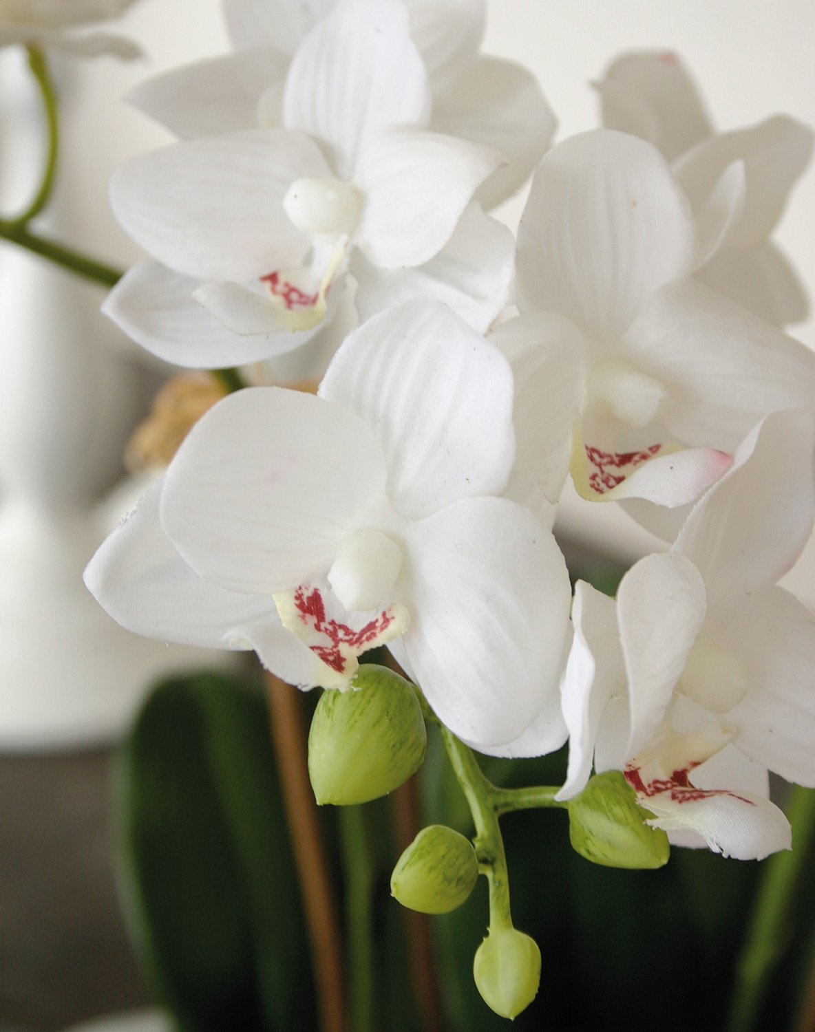 2609 777 a3 Пластиковая орхидея Phalaenopsis, 3-х кратная, в чаше, 38 см, real touch, белая H-andreas  - Вид №5