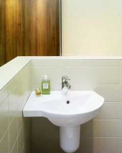 51989901 Подвесная раковина настенная овальная Gustavsberg  белая