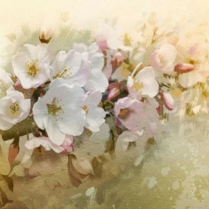 WP00764 Фотообои Verol Фотообои decoline 1х1 м