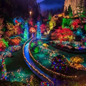 WP01227 Фотообои Verol Фотообои decoline 1х1 м