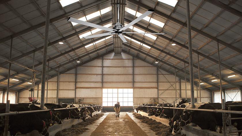 Vortice Nordik hvls super blade  61080  - Вид №3