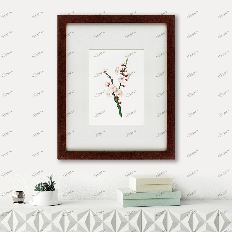 Литография на тонированной бумаге 42х52 см Apricot flower (Prunus armeniaca), 1832 КАРТИНЫ В КВАРТИРУ  191751 Бежевый;белый;разноцветный 