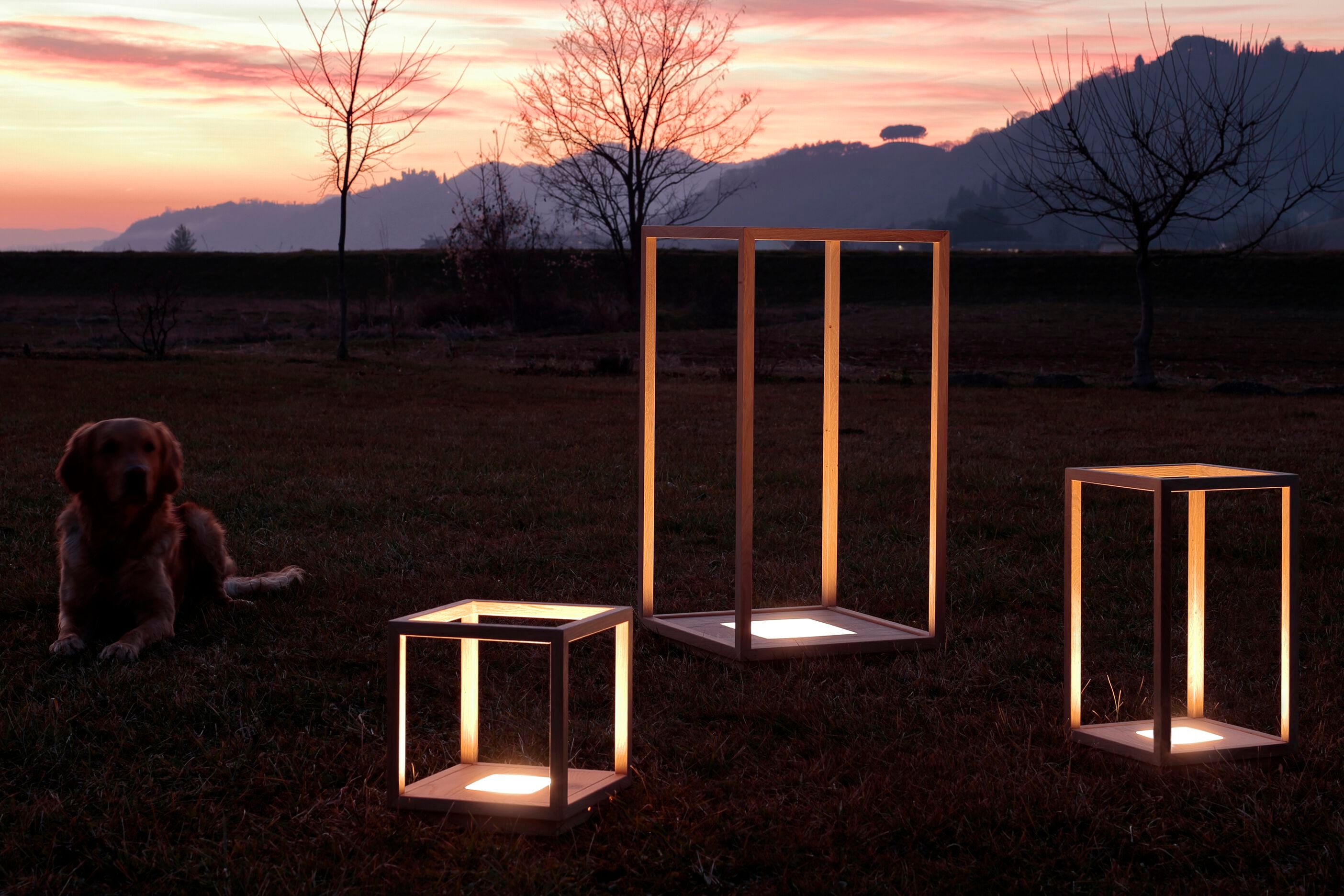 Напольная лампа из дуба Deodara Light box ARCH-00100193 - Вид №5