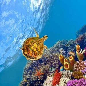 WP02228 Фотообои Verol Фотообои decoline 1х1 м