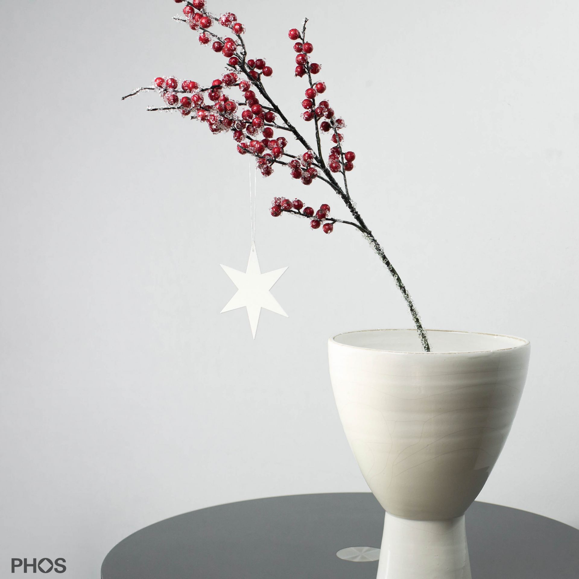 STERN2KW Poinsettia carinae-3, белая порошковая окраска PHOS  - Вид №1