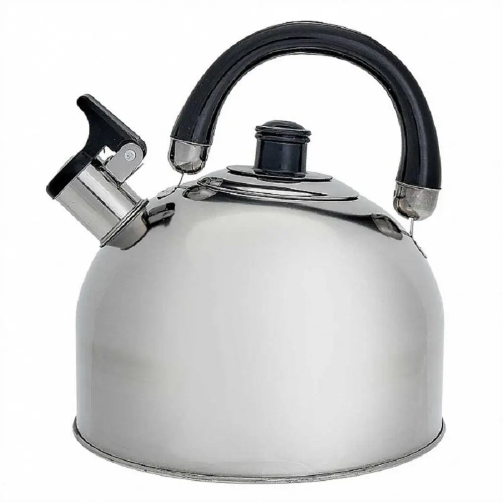 90610251 Чайник Webber BE-0527 3.5 л нержавеющая сталь цвет серебристый STLM-0887501