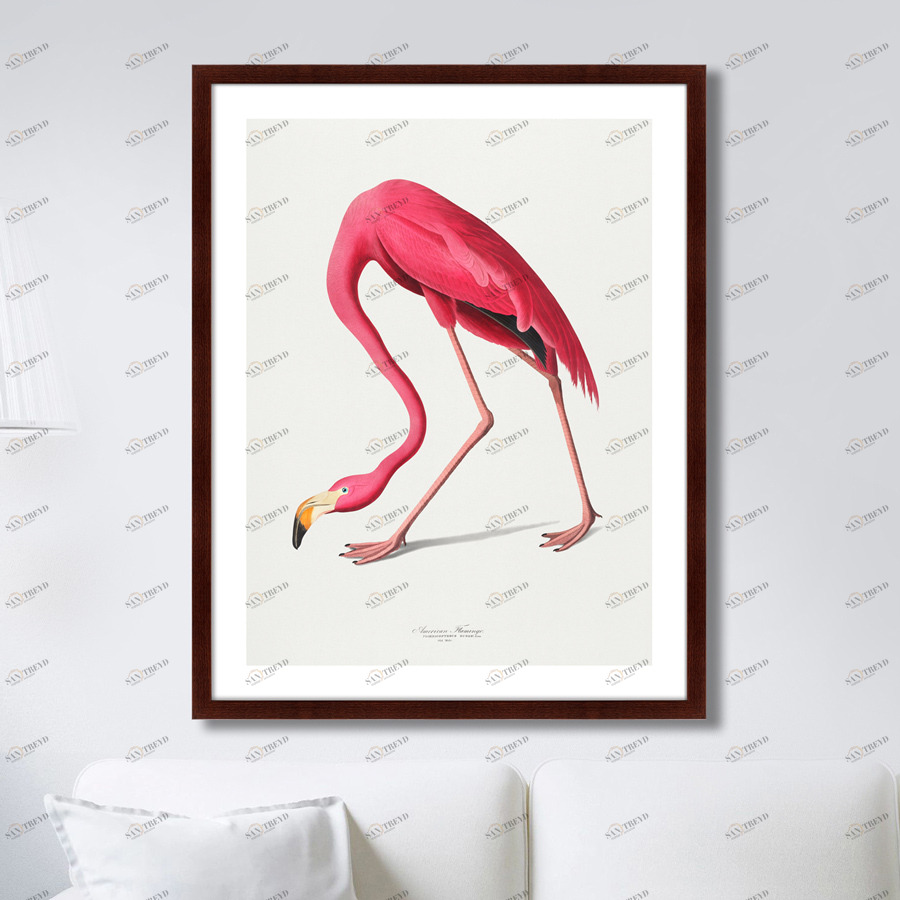 Картина в раме 78,5х100 см "Американский фламинго , 1822г." КАРТИНЫ В КВАРТИРУ  264194 Розовый 