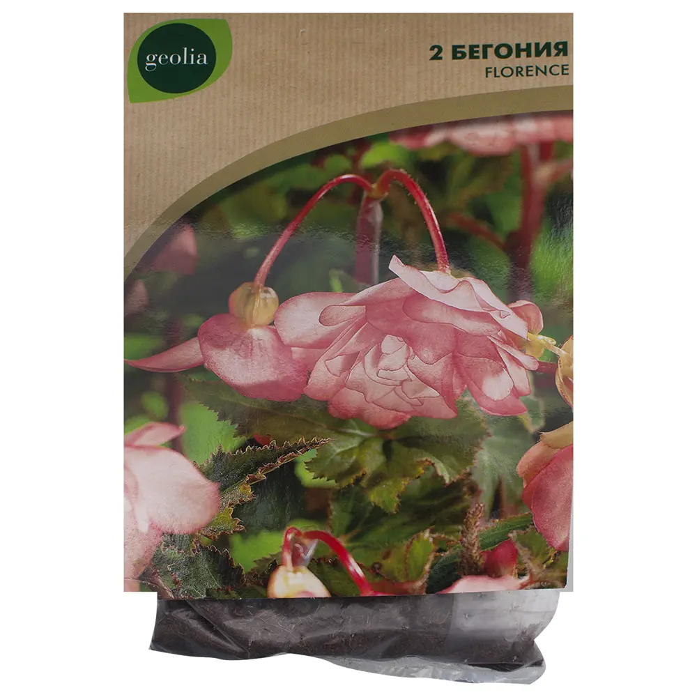 Бегония Geolia «cascade Florence», 5х6 см 15548773 STLM-2198572 