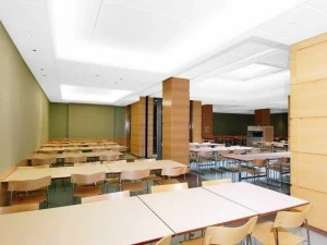 Saint-Gobain ECOPHON Ecophon lighting™