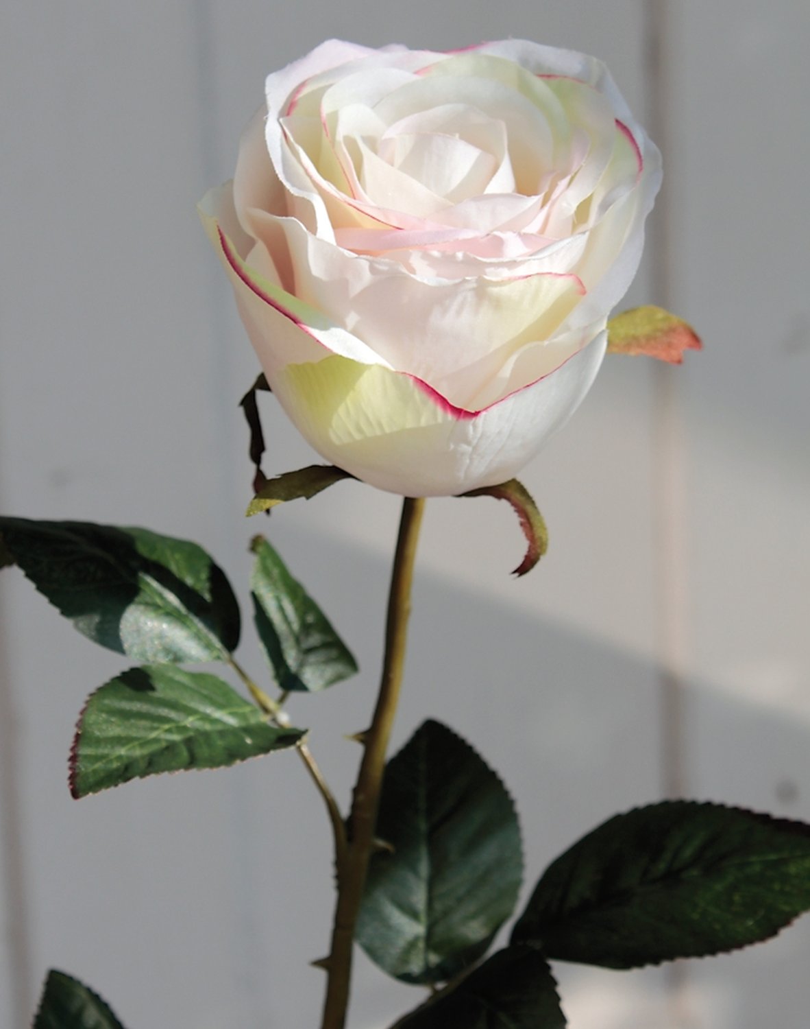 9816 755 a3 Искусственная роза, 90 см, бежево-розовая H-andreas  - Вид №2