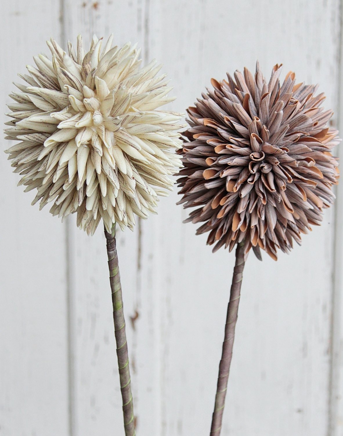 7890 616 a3 Искусственный мягкий цветок 'allium', 80 см, натуральный H-andreas  - Вид №2