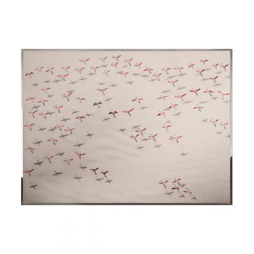 Flamingos Смешанная техника Visionnaire 