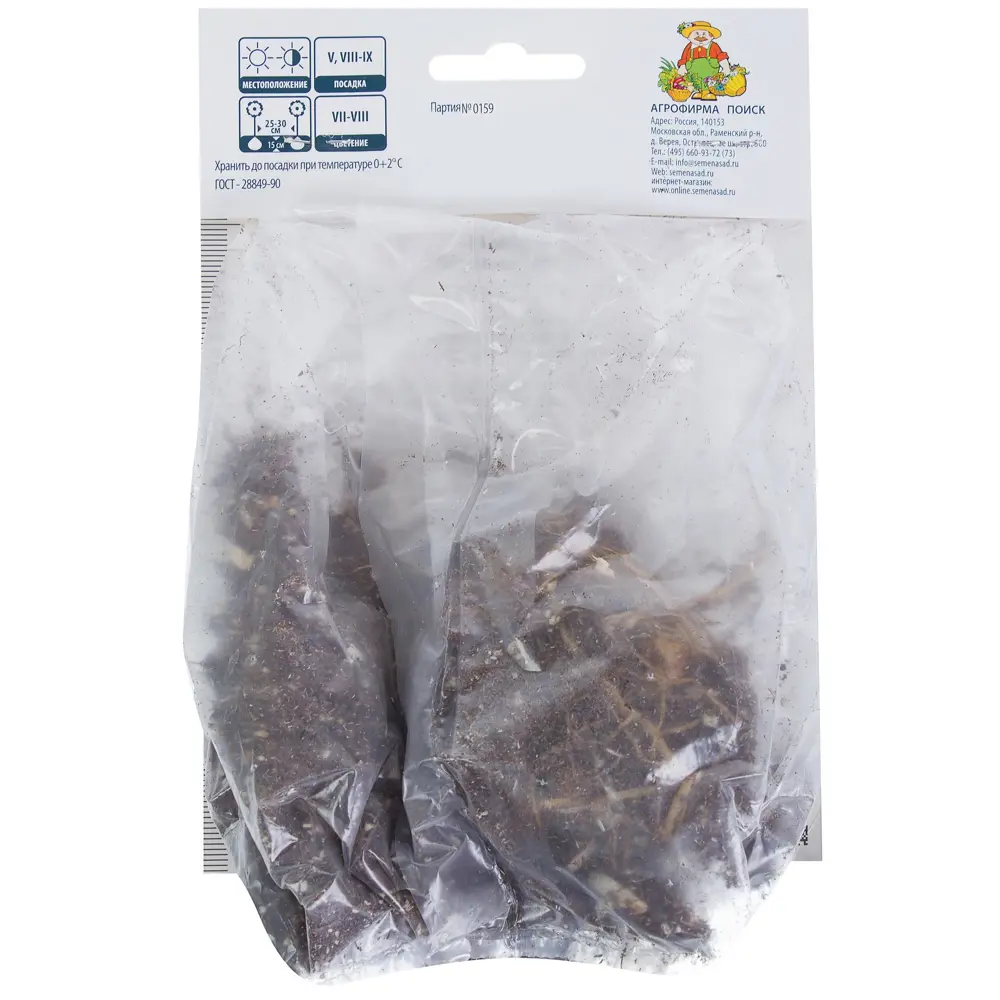 Santreyd Лилия азиатская «Ориндж Электрик» - яркий многолетник для сада 81945463 STLM-1422712 - Вид №1