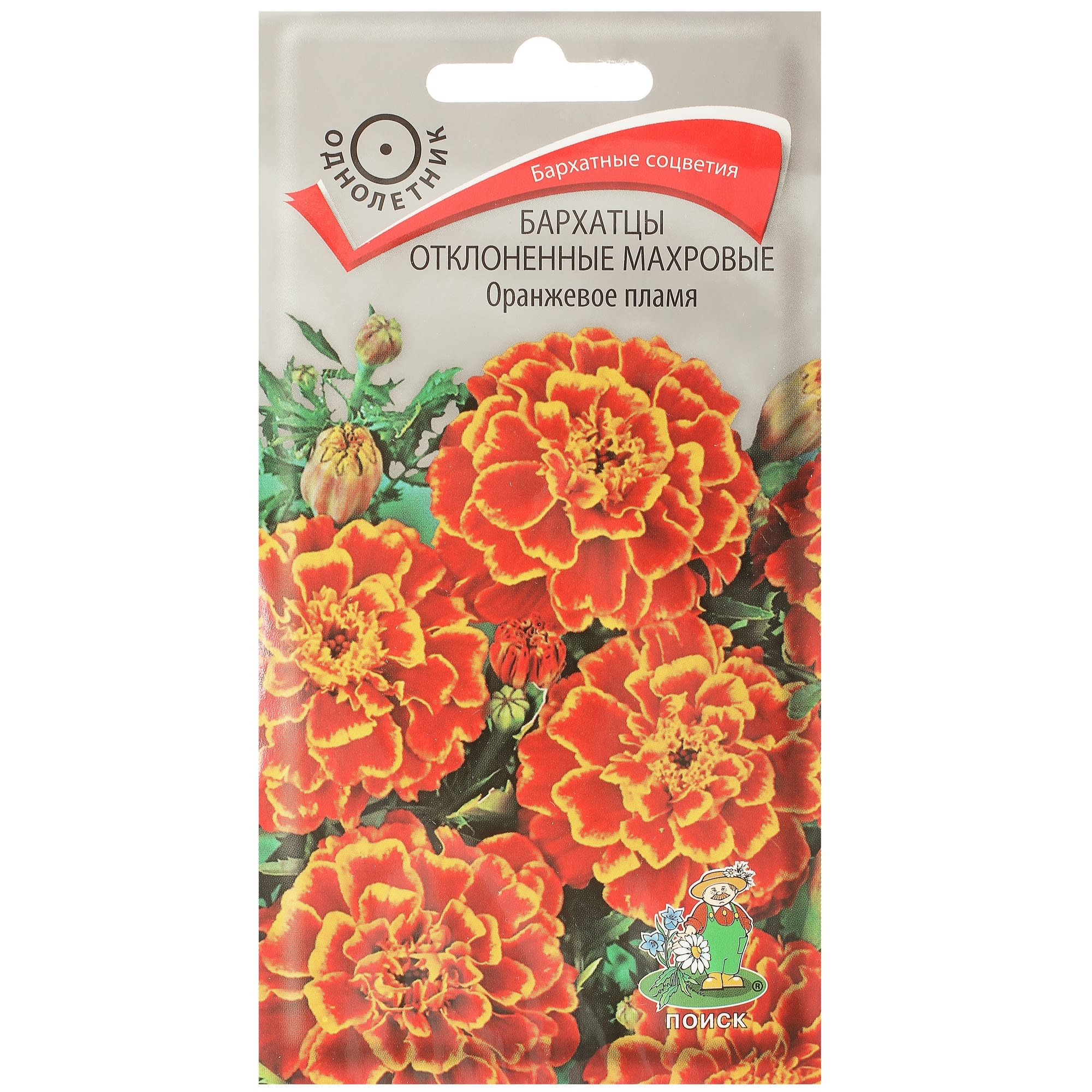 17229557 Бархатцы отклонённые махровые «Оранжевое пламя» Santreyd 