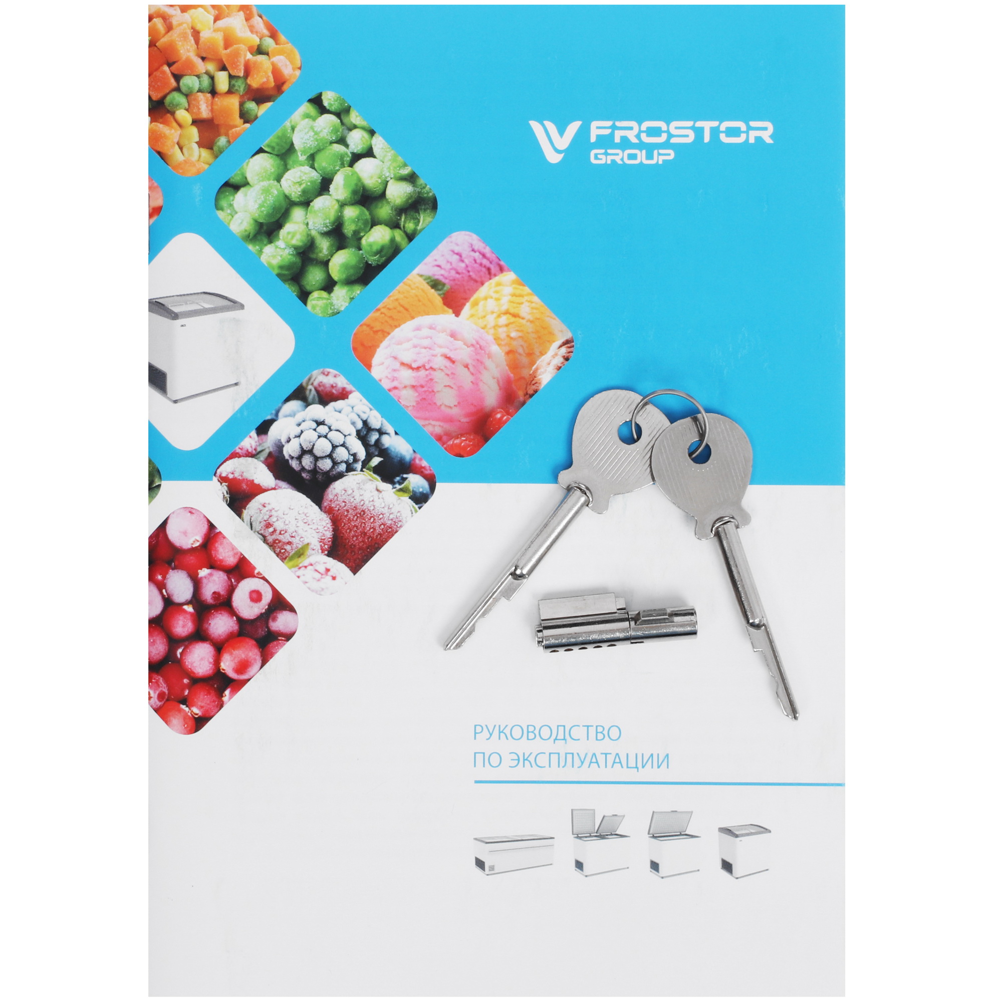 1229611 Морозильный ларь Frostor Gellar FG 575 E белый, серый STDN-0000349 - Вид №8