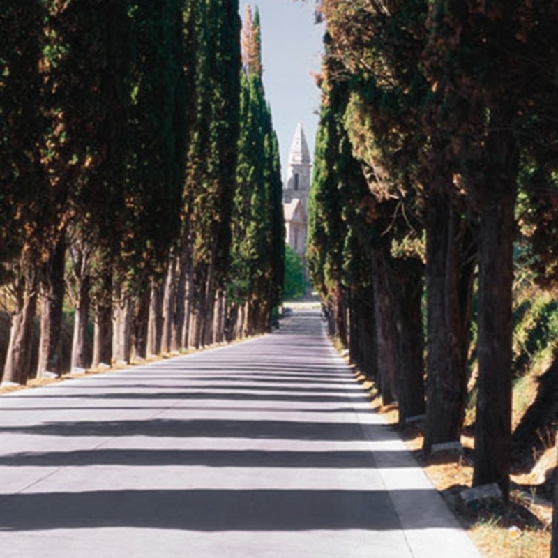 1100/CX38 Картина 1100 Adriani e Rossi  - Вид №4