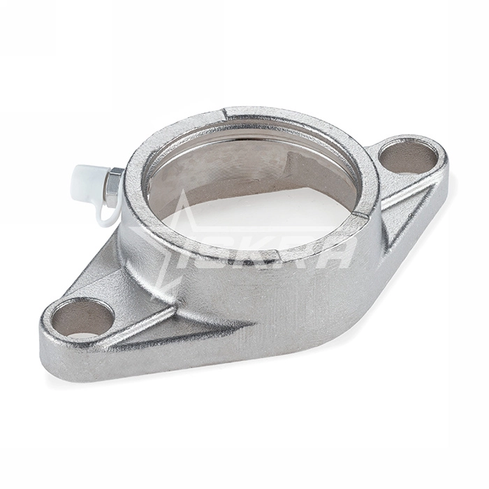 IS1896 Нержавеющий корпус подшипника FL205 SS ISKRA 