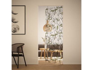 Стеклянная распашная дверь