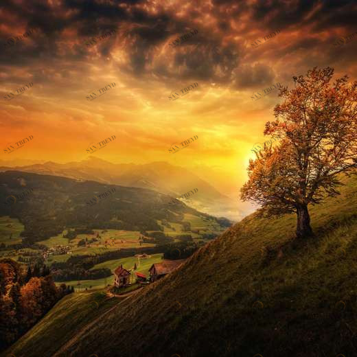 WP00047 Фотообои Verol Фотообои decoline 1х1 м