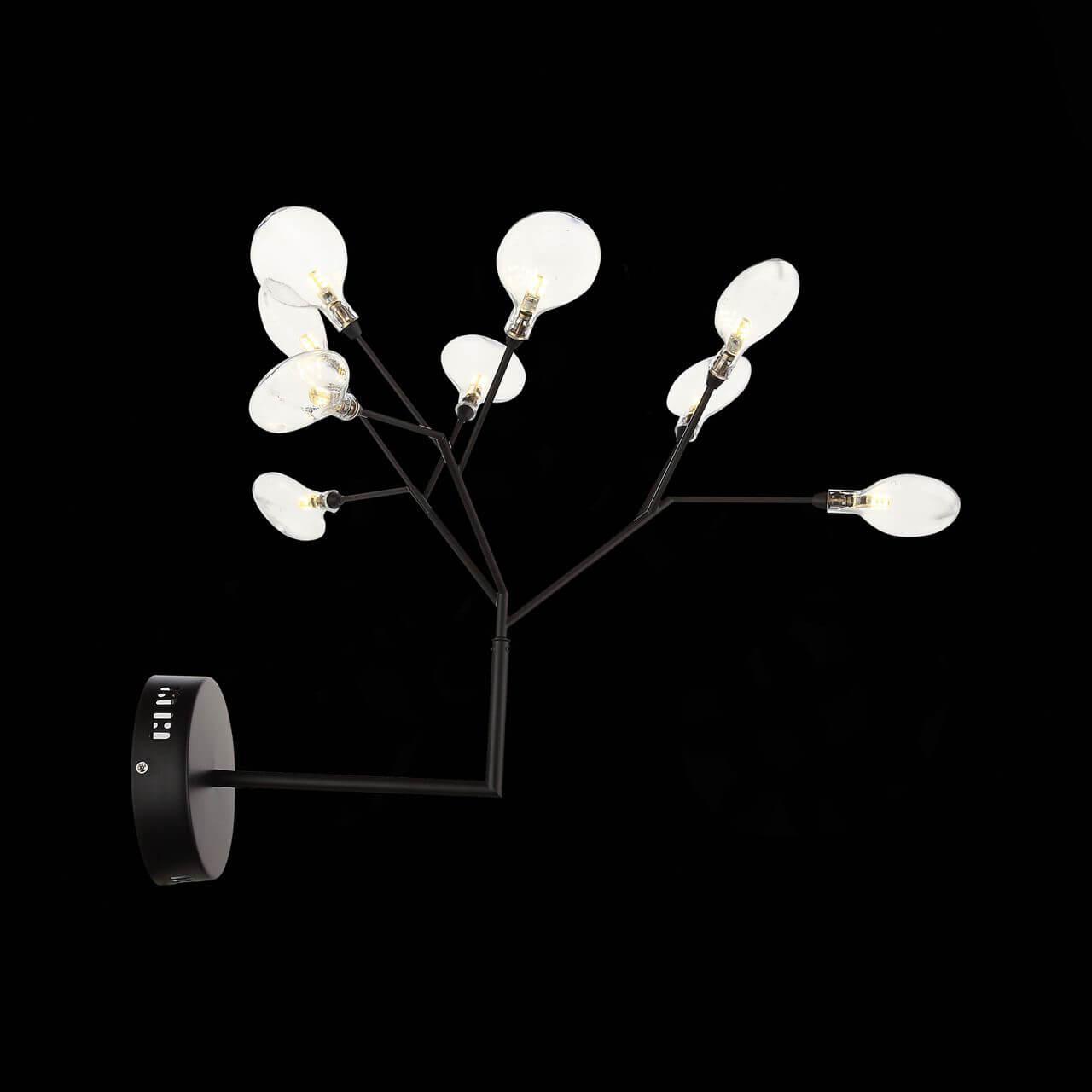 Бра светодиодное на 9 ламп черное Riccardo SL411.401.09 ST LUCE ФЛОРИСТИКА 00-3932064 Прозрачный;черный  - Вид №1