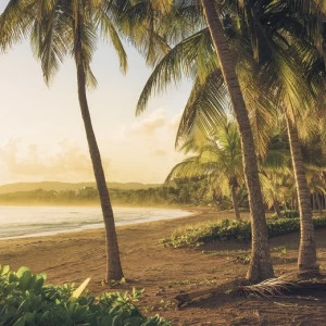 SH064-VD4-Golden-Lands Фотообои Komar Stefan Hefele 2.5х4 м