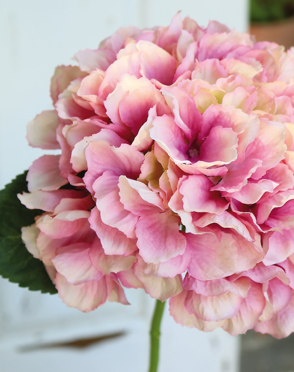 9901 510 a3 Гортензия искусственная, 40 см, розовая H-andreas  - Вид №1