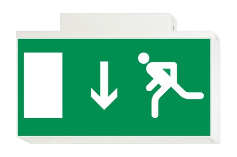 DST-735 Lisu ceiling-mounted Daisalux Светильники аварийные Белый 