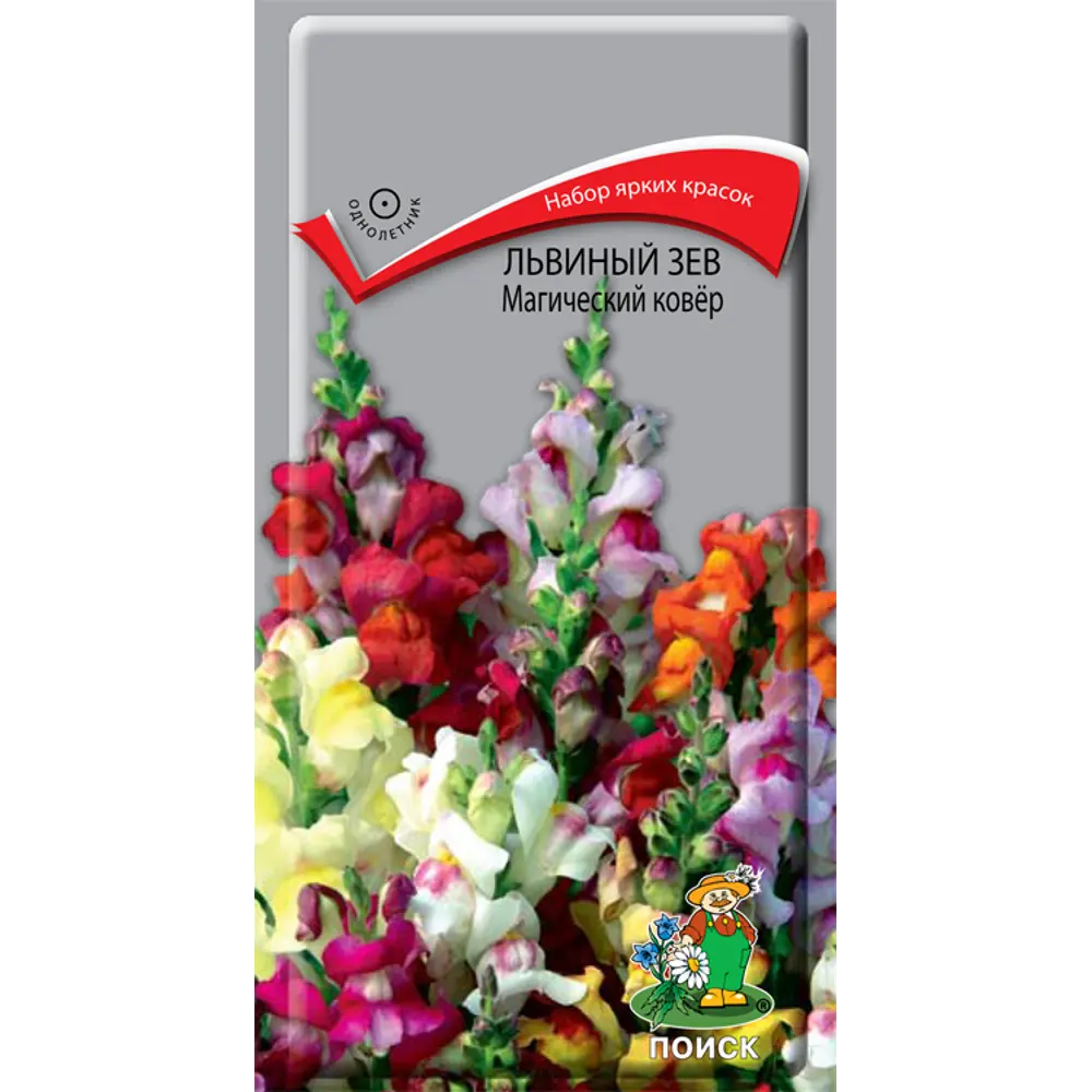ПОИСК Львиный зев «Магический ковер» - яркий цветочный ковер для сада 83227385 STLM-1576207