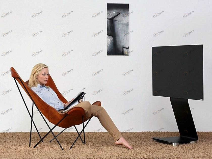 Wissmann raumobjekte Поддержка монитора / телевидения  120 