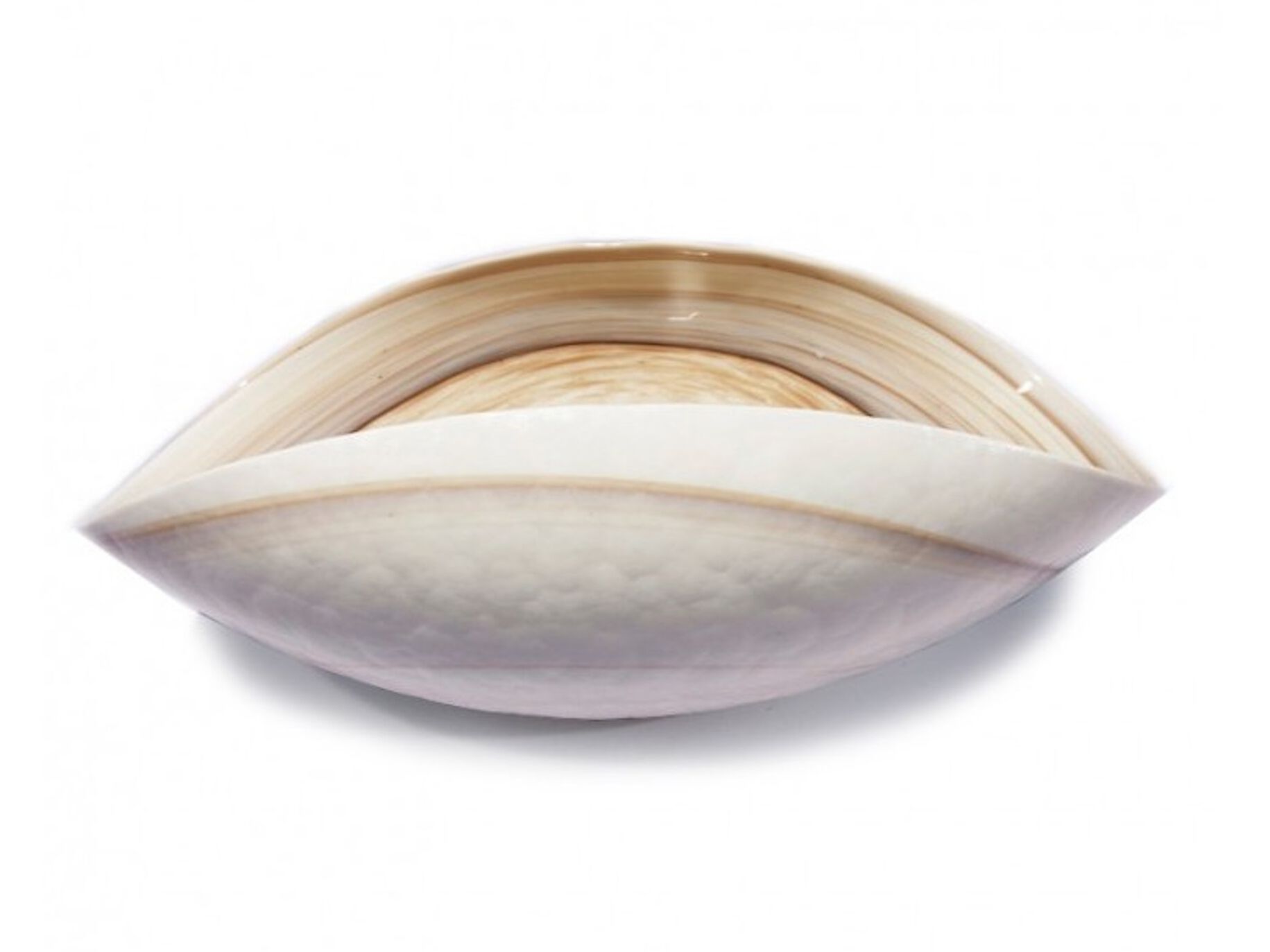 Центральные элементы из муранского стекла ручной работы YourMurano Shell ARCH-00067229