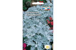 18410089 Семена Цинерария Кэндикенс 00000014158 СеДек