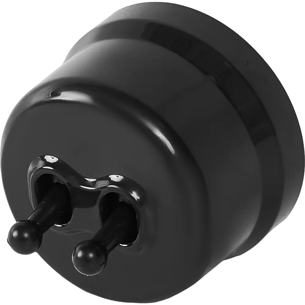 Выключатель Electraline двухклавишный накладной в глянцевом черном корпусе 84229214 Лофт STLM-0047241