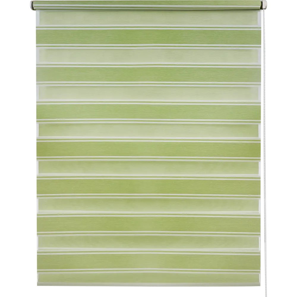 Штора рулонная день-ночь Дэли 70x160 см салатовая 84421781 STLM-2039158 MIAMOZA - Вид №1