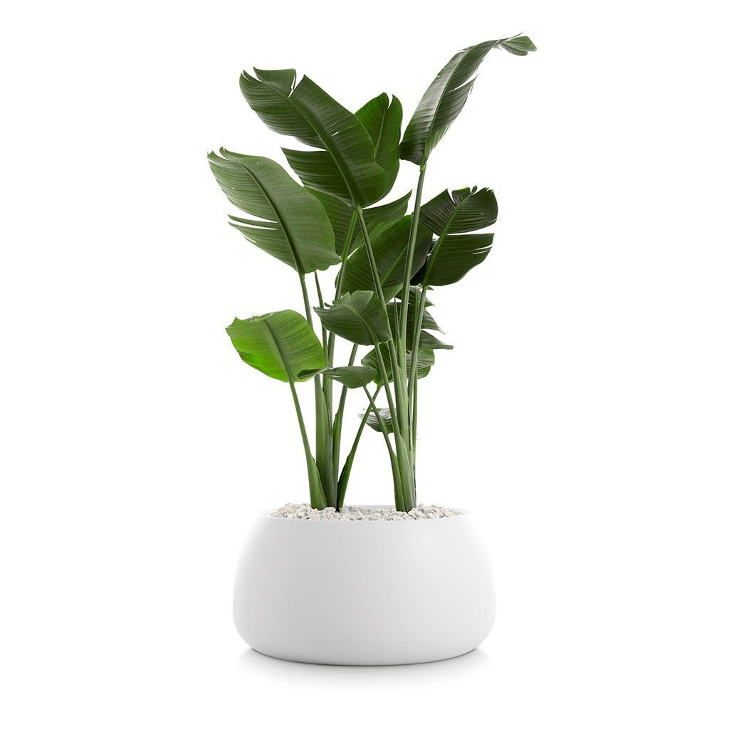 Пластиковый садовый горшок Diabla ARCH-00032991 - Вид №6